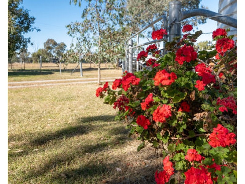 “Edithville” 659 Old Winton Road, Tamworth NSW 2340