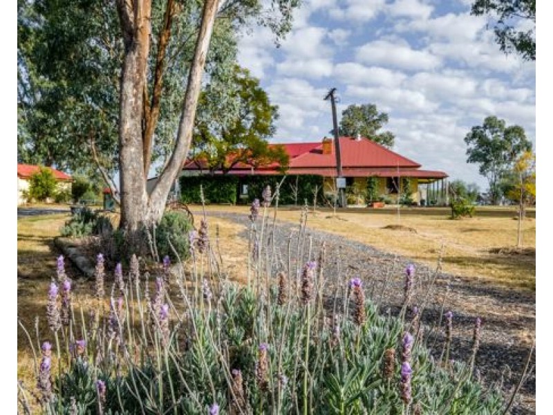 “Edithville” 659 Old Winton Road, Tamworth NSW 2340