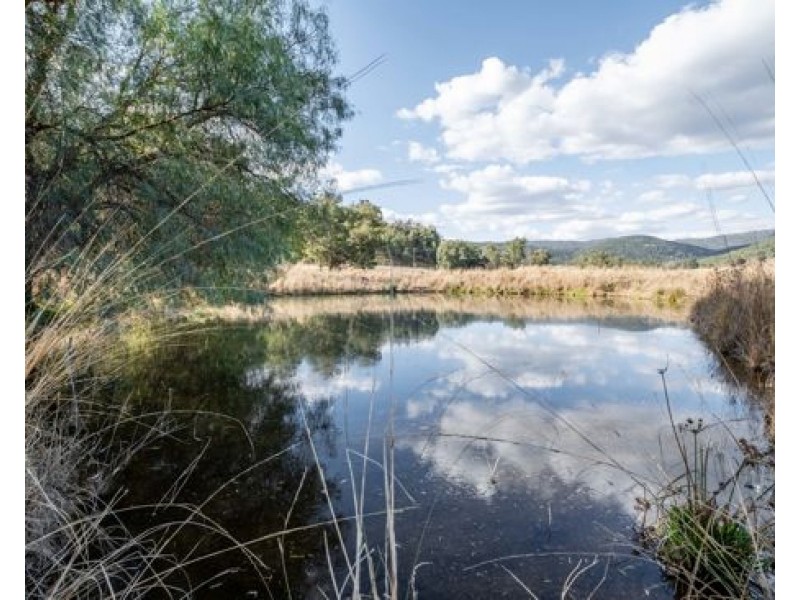 “Tralee” 487 Inlet Road, Attunga NSW 2345