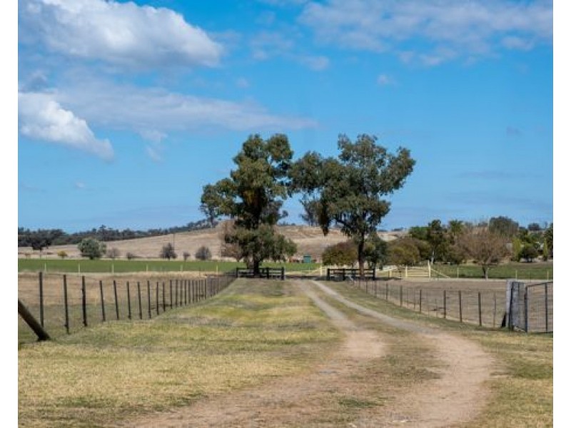 “Tralee” 487 Inlet Road, Attunga NSW 2345