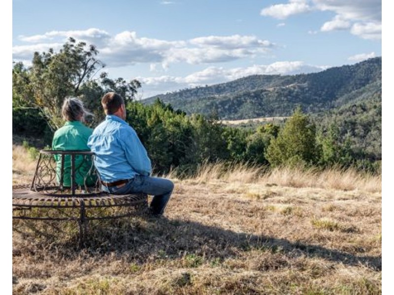 “Tralee” 487 Inlet Road, Attunga NSW 2345