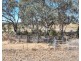 66 Bielefelds Road, Duri NSW 2344