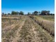 66 Bielefelds Road, Duri NSW 2344