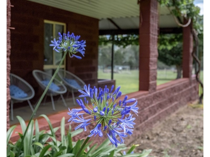 432 Attunga Forest Road, Attunga NSW 2345