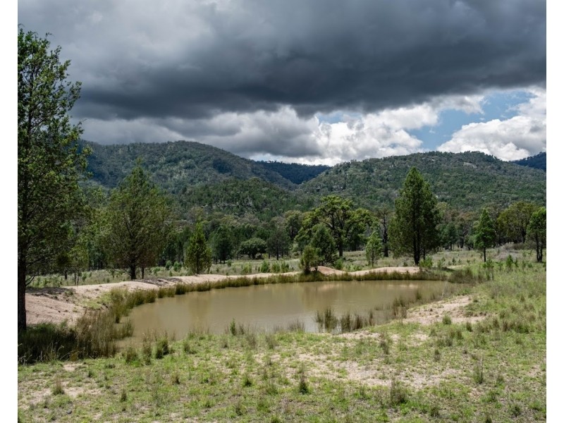 432 Attunga Forest Road, Attunga NSW 2345