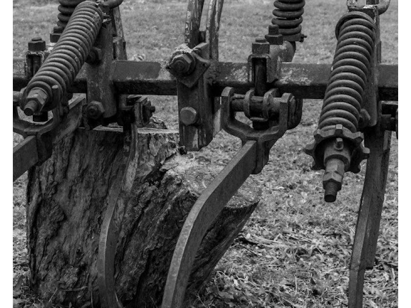 432 Attunga Forest Road, Attunga NSW 2345