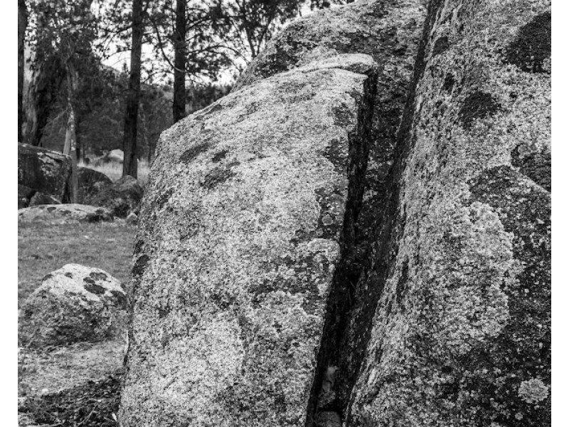 432 Attunga Forest Road, Attunga NSW 2345