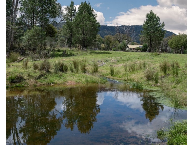 432 Attunga Forest Road, Attunga NSW 2345