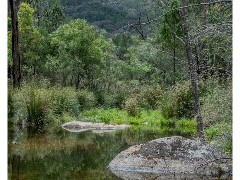 432 Attunga Forest Road, Attunga NSW 2345