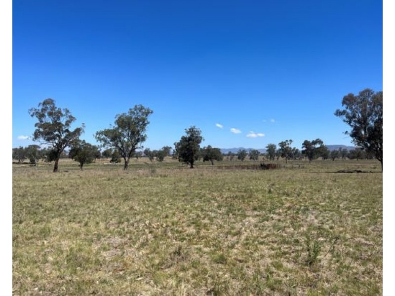 76 Seddons Road, Tamworth NSW 2340