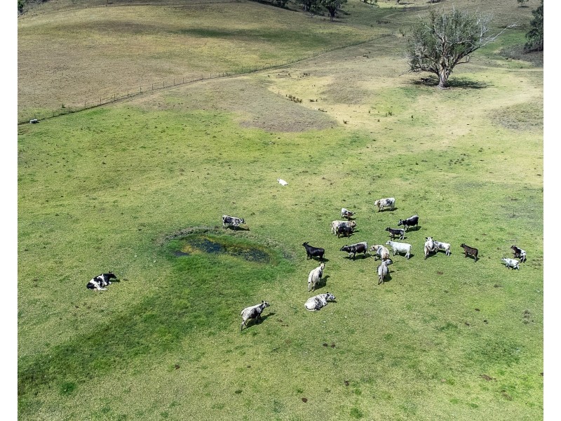 347 Ogunbil Road, Dungowan NSW 2340