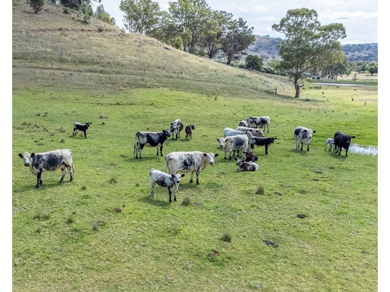 347 Ogunbil Road, Dungowan NSW 2340