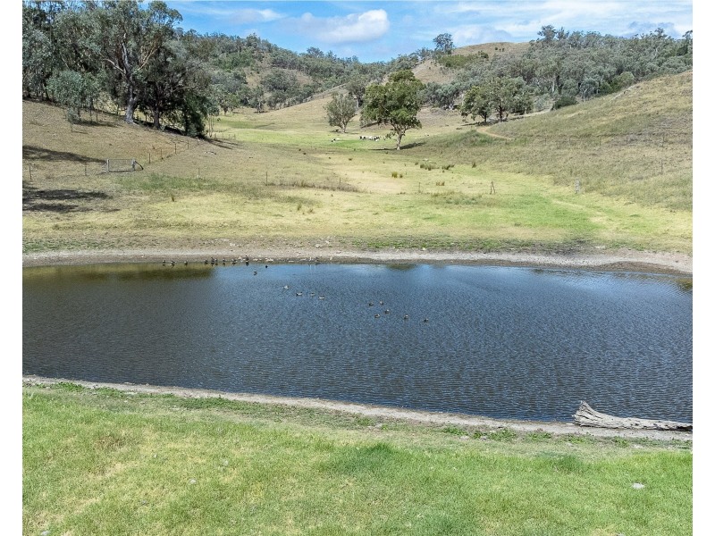 347 Ogunbil Road, Dungowan NSW 2340