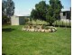 375 Spains Lane, Tamworth NSW 2340