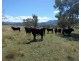 “BRAEFARM” 1882 New England Highway, Moonbi NSW 2353
