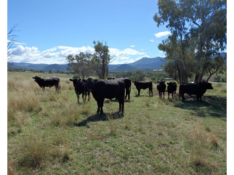 “BRAEFARM” 1882 New England Highway, Moonbi NSW 2353