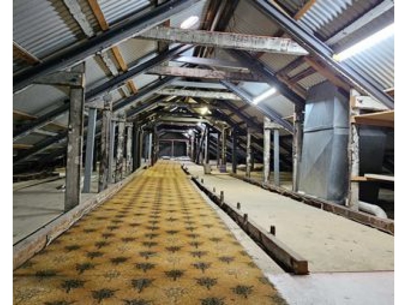 280 Peel Street, Tamworth NSW 2340