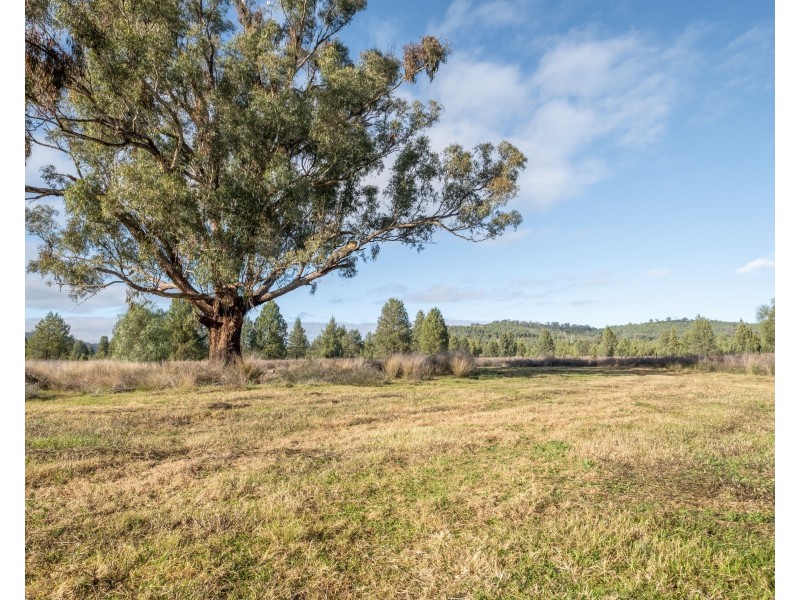 Lot 103 Inlet Road, Attunga NSW 2345