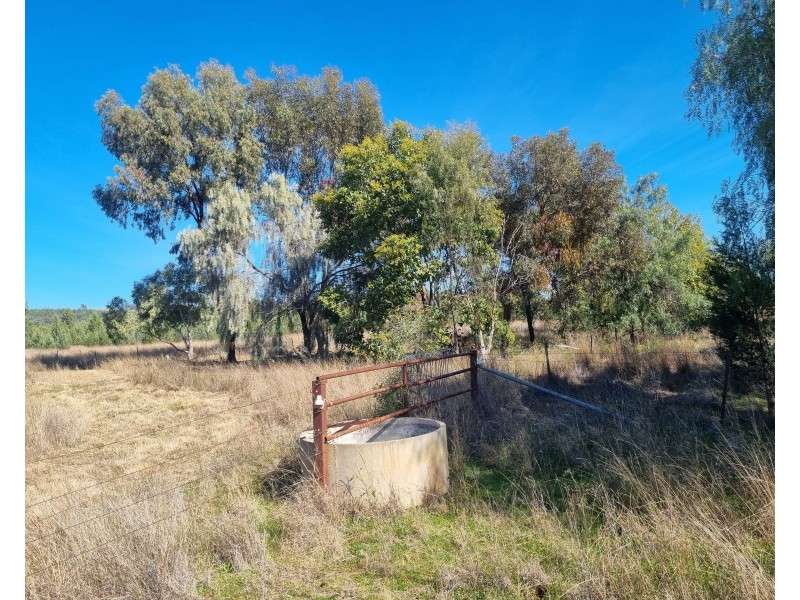Lot 103 Inlet Road, Attunga NSW 2345