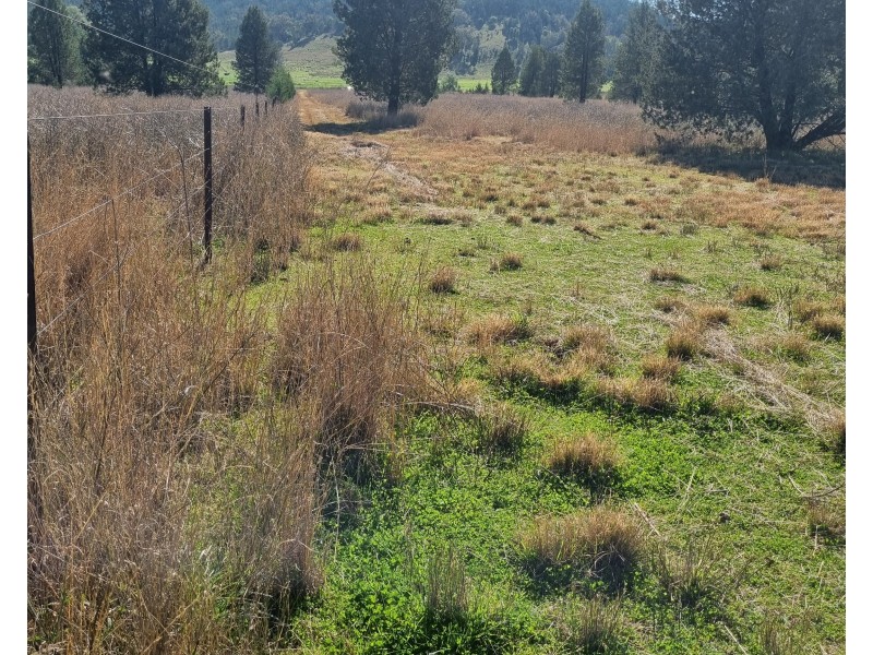 Lot 103 Inlet Road, Attunga NSW 2345