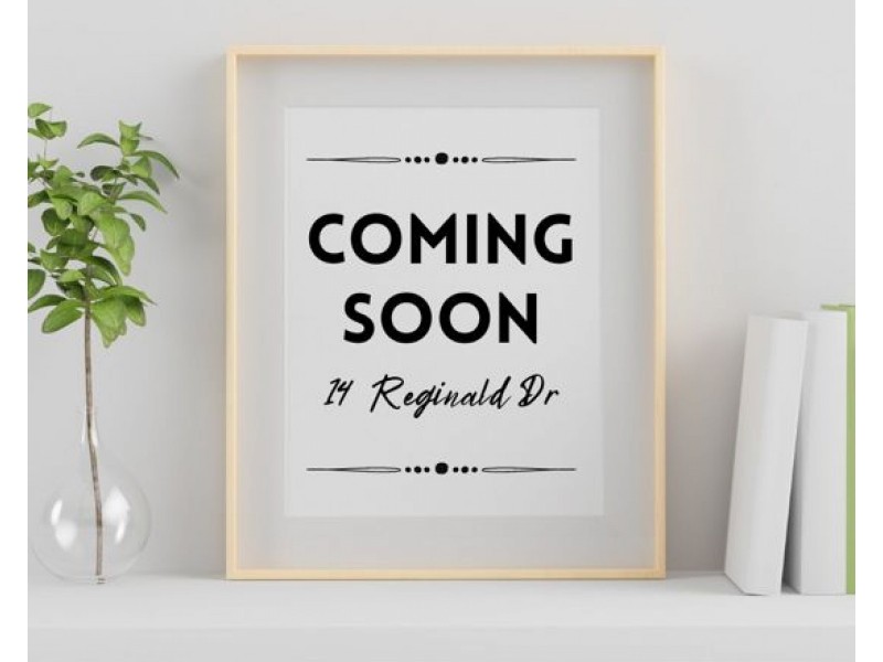 14 Reginald Drive, Tamworth NSW 2340