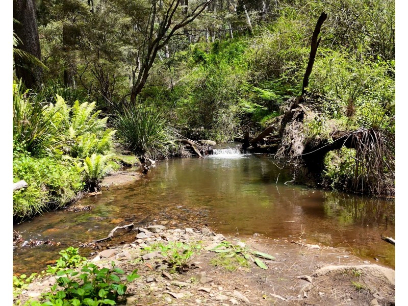 1534 Duncans Creek Road, Duncans Creek NSW 2340