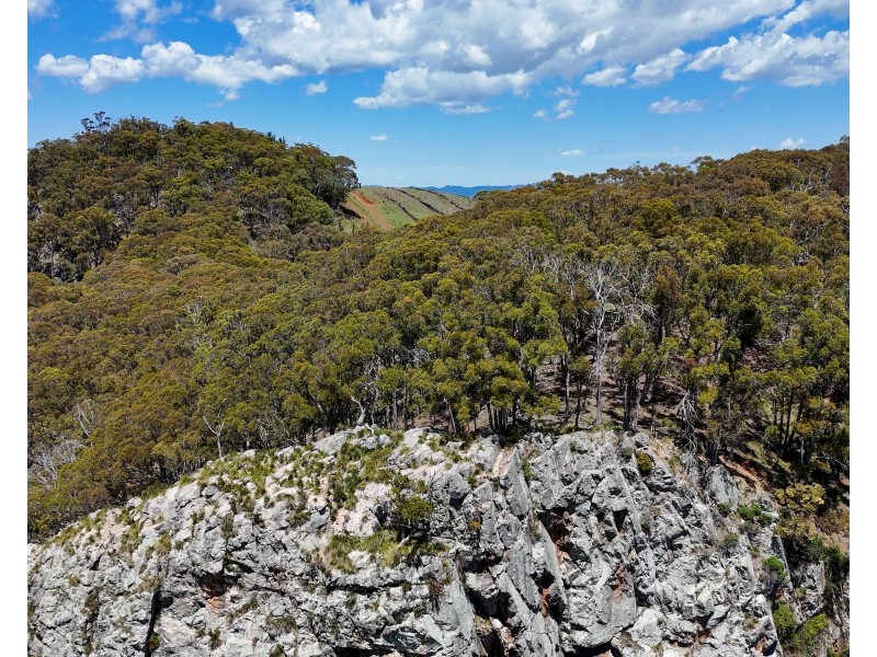 1534 Duncans Creek Road, Duncans Creek NSW 2340