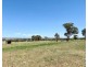 696 Burgmann’s Lane, Tamworth NSW 2340