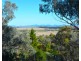 14 Mornington Crescent, Tamworth NSW 2340