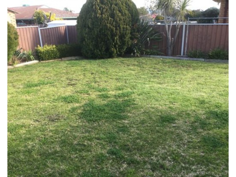 27 Bandalong Street, Tamworth NSW 2340