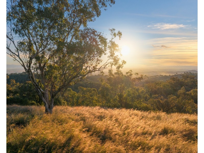 583 Tintinhull Road, Daruka NSW 2340