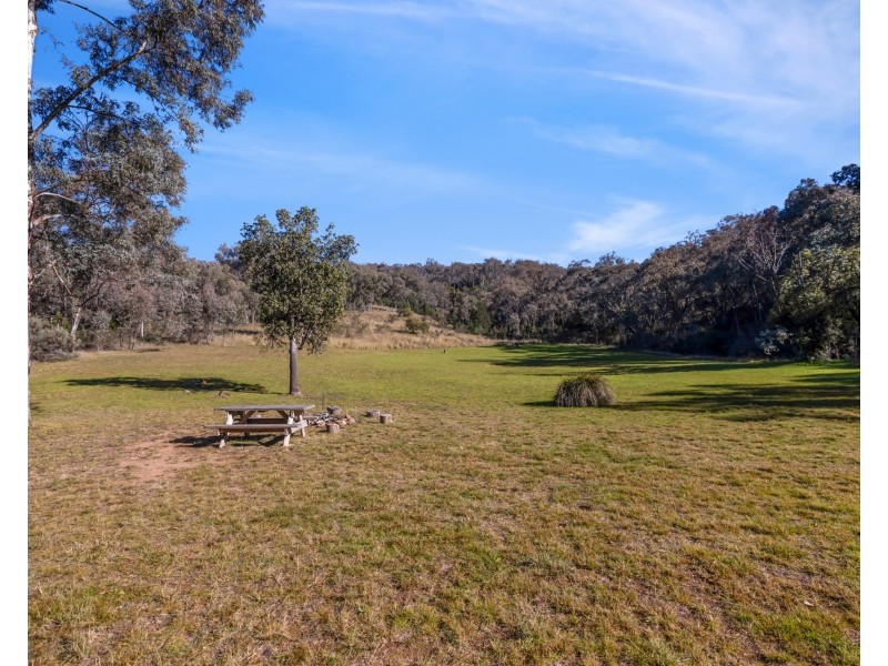 583 Tintinhull Road, Daruka NSW 2340