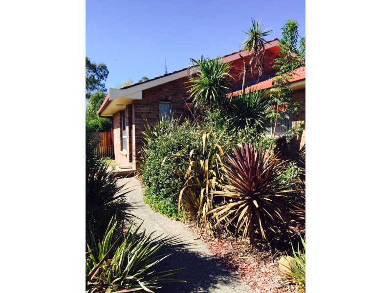 1/161 Allingham Street, Armidale NSW 2350