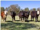 542 Hawthorne Drive, Armidale NSW 2350