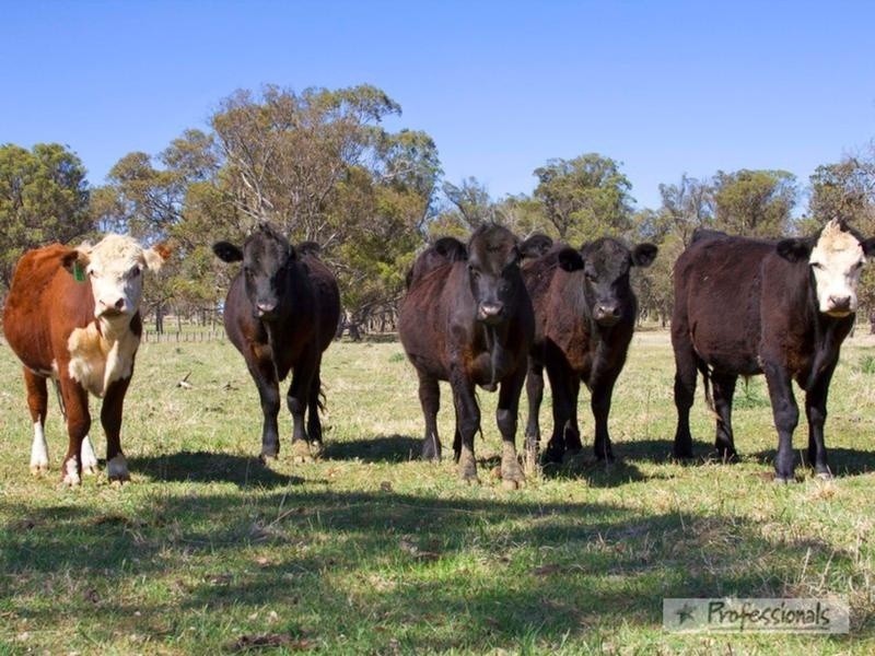 542 Hawthorne Drive, Armidale NSW 2350