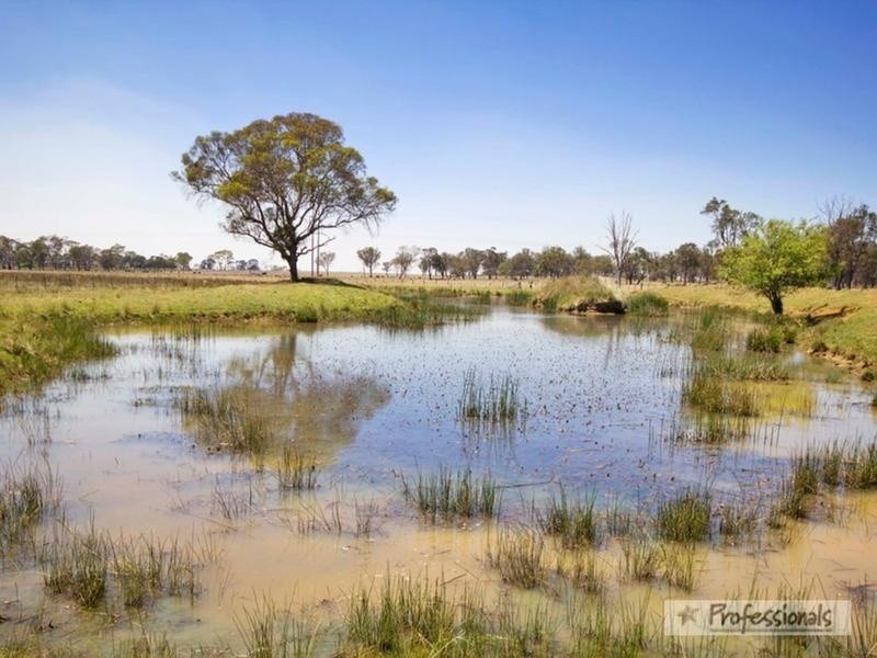 542 Hawthorne Drive, Armidale NSW 2350
