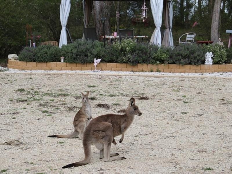 33 Middle farm Road, Armidale NSW 2350