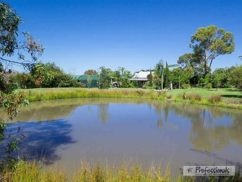 13 Scouler Street, Hillgrove NSW 2350