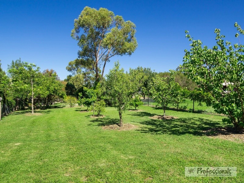 13 Scouler Street, Hillgrove NSW 2350