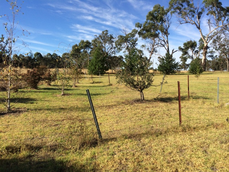 137-159 Longswamp Road, Armidale NSW 2350