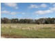 853 “Fairview Estate” Black Mountain Road, Black Mountain NSW 2365