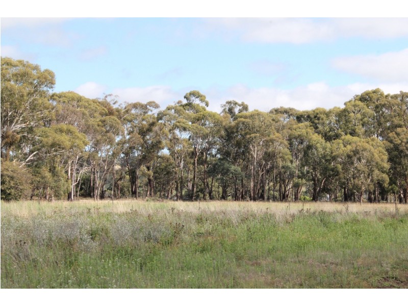 853 “Fairview Estate” Black Mountain Road, Black Mountain NSW 2365