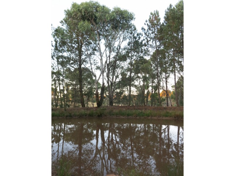 136 Kingstown Road, Uralla NSW 2358