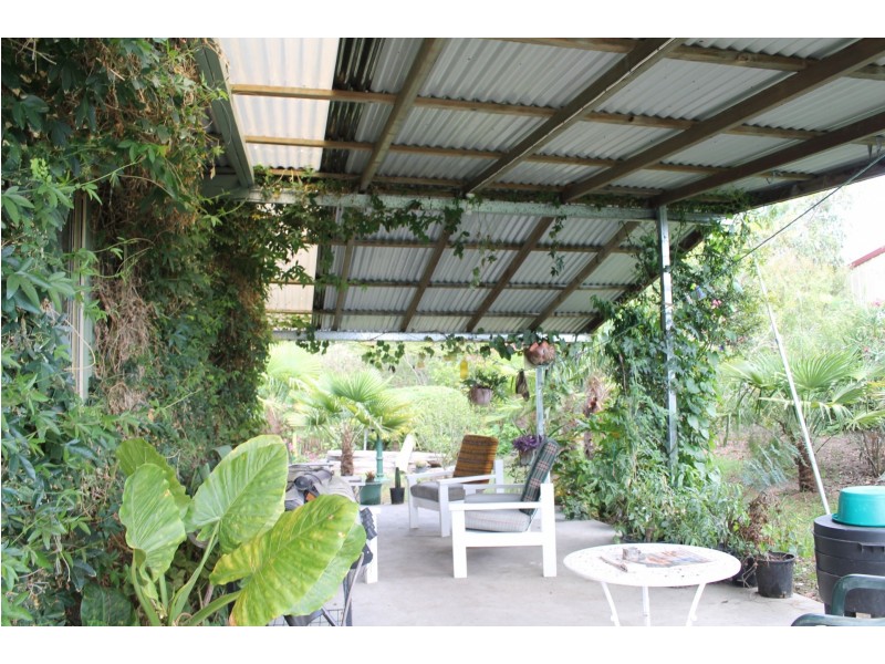 11 Queen Street, Hillgrove NSW 2350