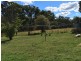 1971 Boorolong Road, Armidale NSW 2350