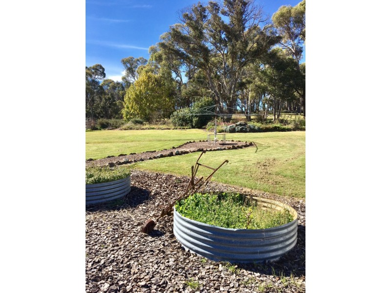 1011 Lagoon Road, Black Mountain NSW 2365