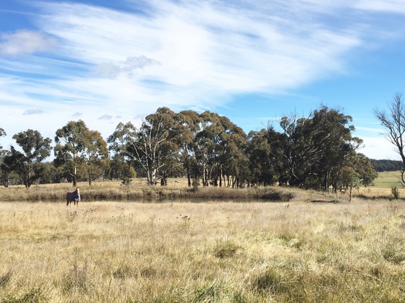 1011 Lagoon Road, Black Mountain NSW 2365