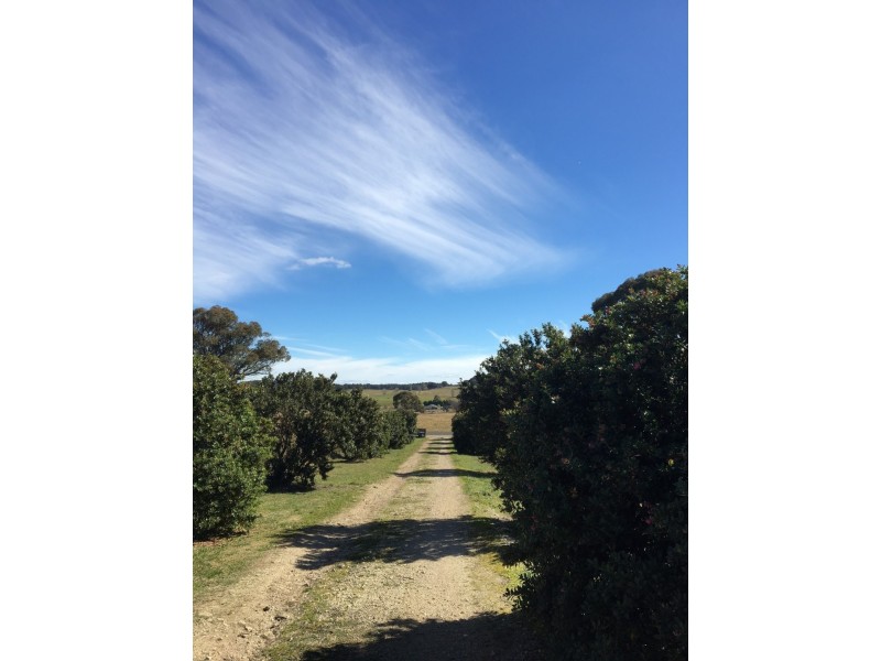 1011 Lagoon Road, Black Mountain NSW 2365