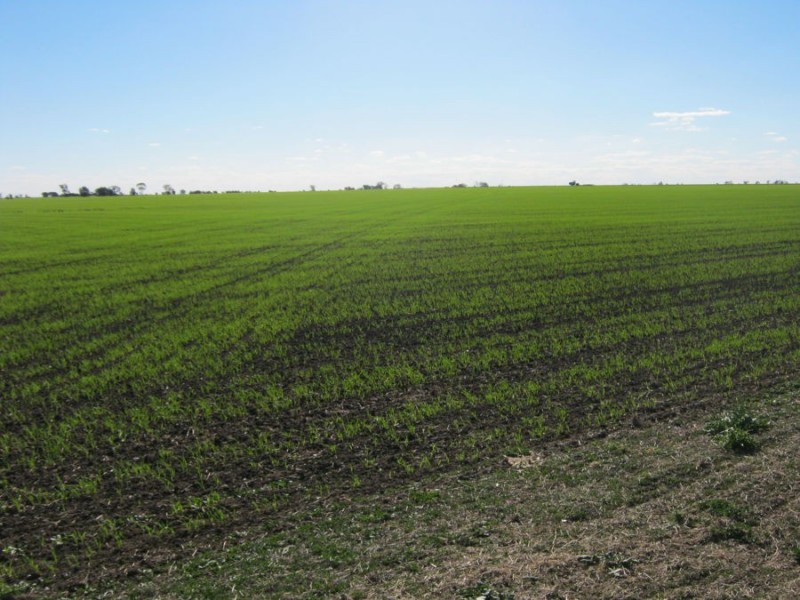 “Golonga”, Croppa Creek NSW 2411