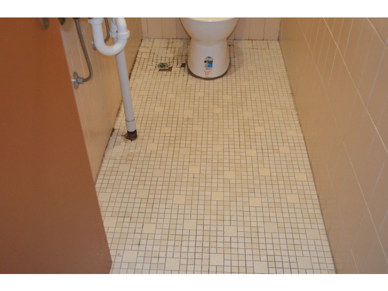 313 Auburn Street, Moree NSW 2400